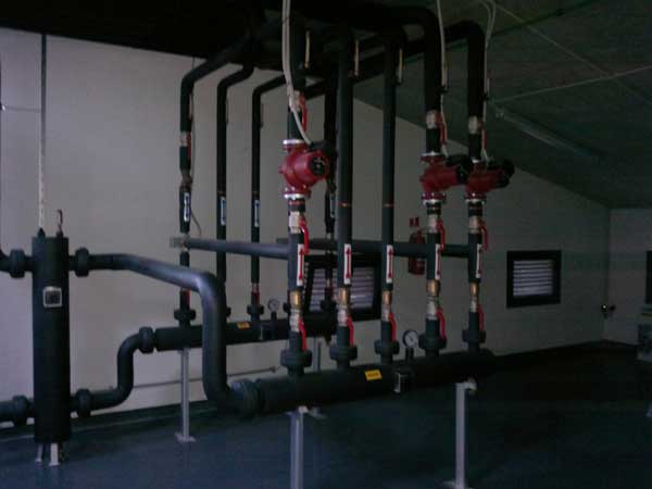 projekt 5